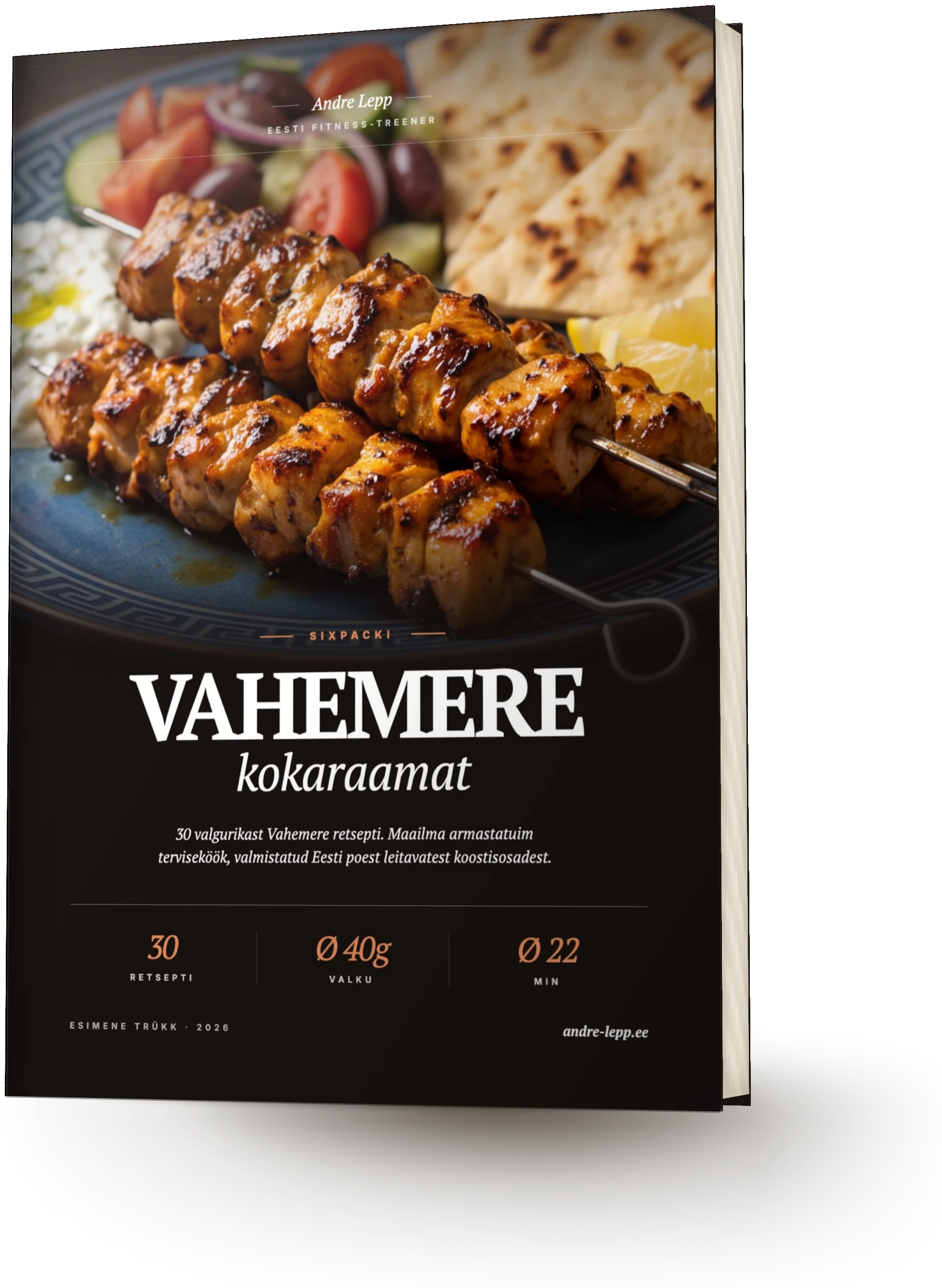 Vahemere kokaraamat